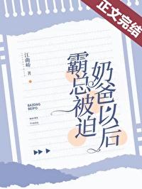 霸总被迫奶爸以后简介