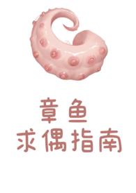 章鱼求偶指南免费阅读全文