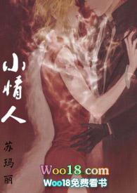 小情人简介