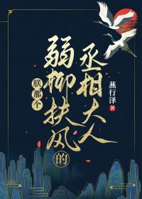 朕那个弱柳扶风的丞相大人阅读