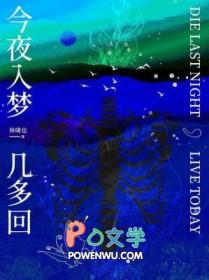 今夜入梦几多回txt林啸也百度