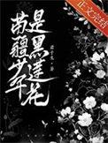 苗疆少年是黑莲花TXT链接