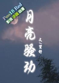 月亮骚动by望舒讲的什么