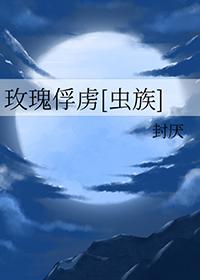 玫瑰 虫