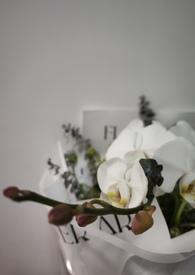 我的未婚妻欲求不满女主最终和谁在一起了