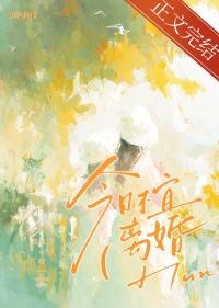 今日不宜离婚by北途川无错版