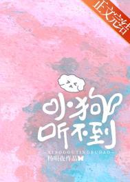 小狗听不到声音怎么回事