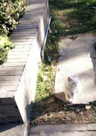 媚宠全文免费阅读