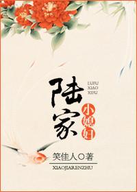 陆家小媳妇讲什么故事