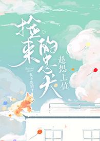 现代捡到忠犬