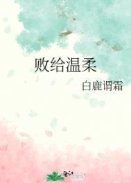 败给温柔败给你