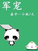 军宠(军旅高干)H