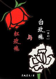 红玫瑰与白玫瑰演员表介绍