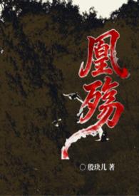 凰殇(女尊nph)/殷玦儿