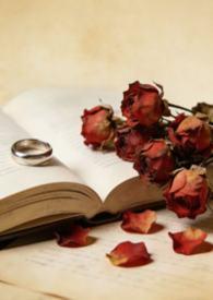 代价全文txt
