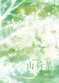 山荷叶和荷叶有什么区别