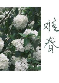 第一章难兄难妹