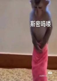 泡芙小姐动漫原版