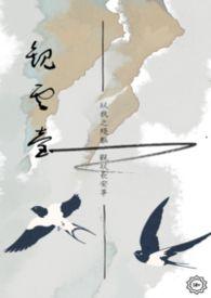 观云台酒价格及图片