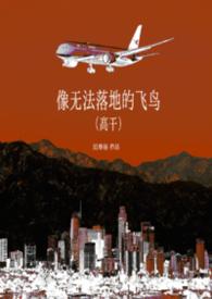 无法离地的飞行和welcome home