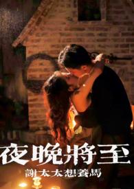 夜晚将要来临