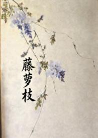 藤萝为枝仙君他又作死了