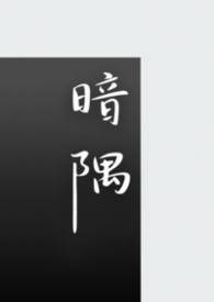 暗隅明察免费全集