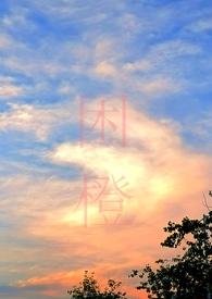 困城(男出轨H)-好页好耶