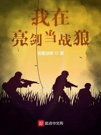 我在亮剑搞援助