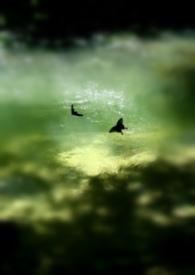 醒过的红酒能保存多久