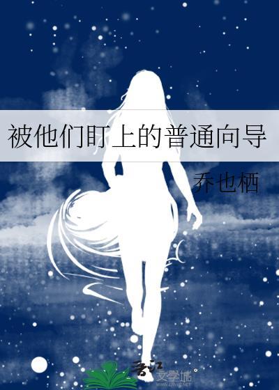 他们盯上的普通向导TXT