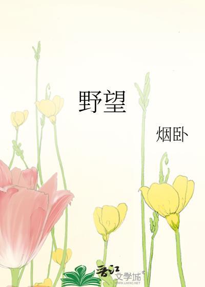 野望是什么意思