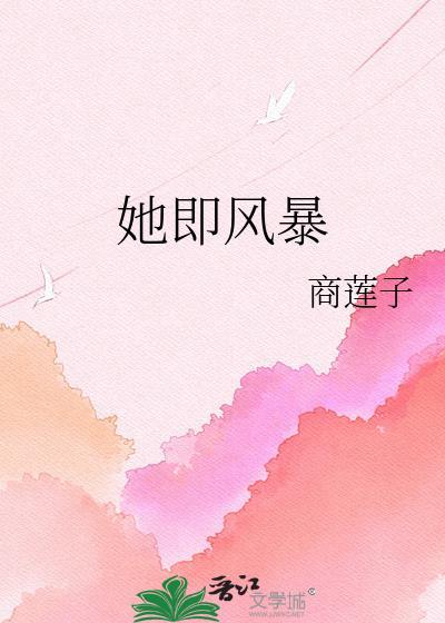 她即风暴txt