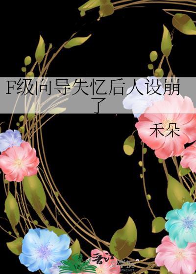 F级向导攻