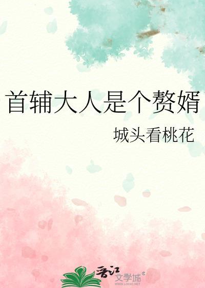 首辅大人是个赘婿by城头看桃花TXT百度