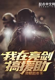 我在亮剑搞援助在线观看