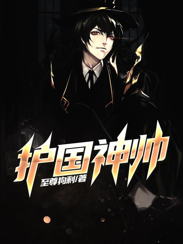 护国神帅1-100集免费