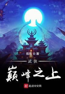 武侠之颠峰之上