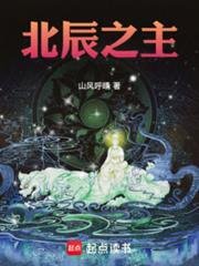 北辰之主笔趣阁免费阅读全文无弹窗