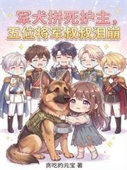 军犬为了保护主人心伤了只有疼