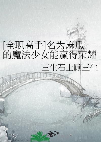 全职高手名为麻瓜的冠军