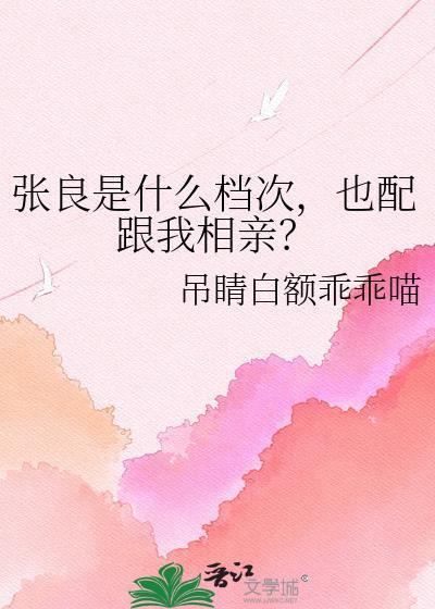 张良是什么档次也敢和我相亲