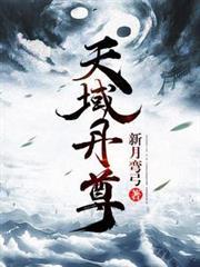 天域丹尊苏尘txt书包网