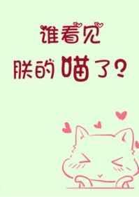 谁看见朕的喵了?txt