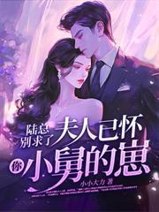 贺律师又沦陷了全文免费阅读