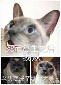 死而复生我从老头讲的什么