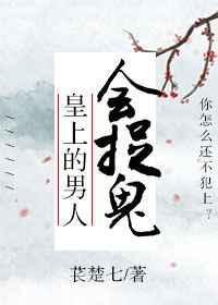 皇上喜欢男子