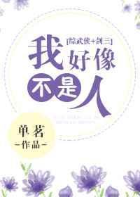 剑三+综武侠