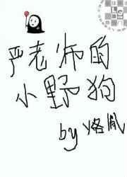 严老师二