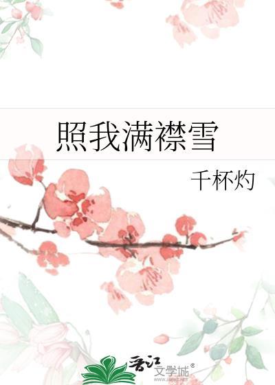 照我满襟雪千杯酌